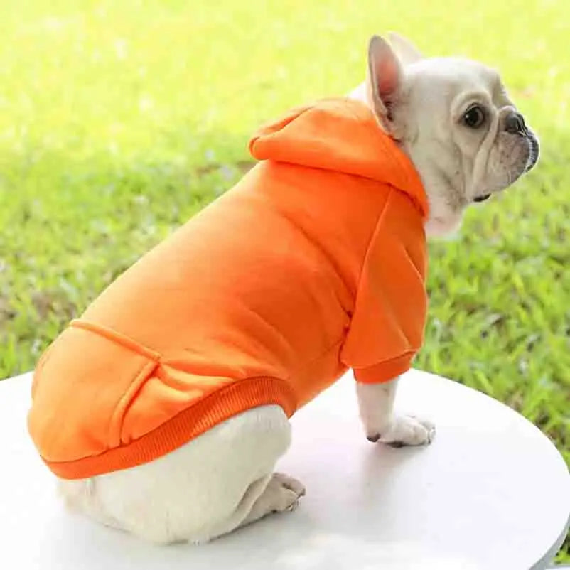 Winter-Hoodie für kleine und mittelgroße Hunde - Kayos